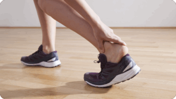 Ankle Joint And Foot