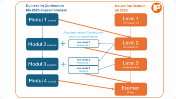 Maitland Curriculum 2026 Umstiegsszenarien